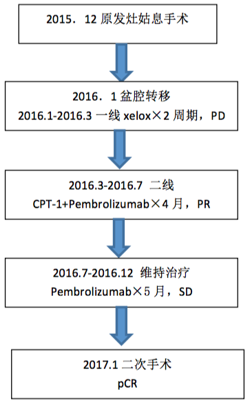 病例图4.png