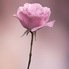 t01a3008b944e8f05d3.jpg