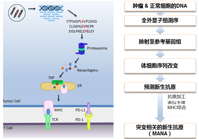 表格5.png