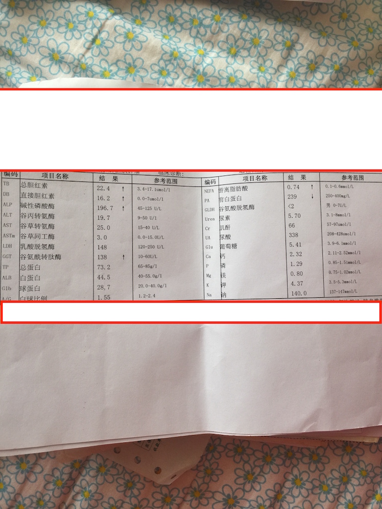 (3:27)检验报告单-4.jpg