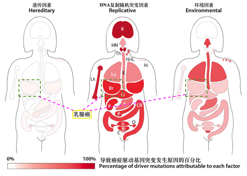 无标题2.png