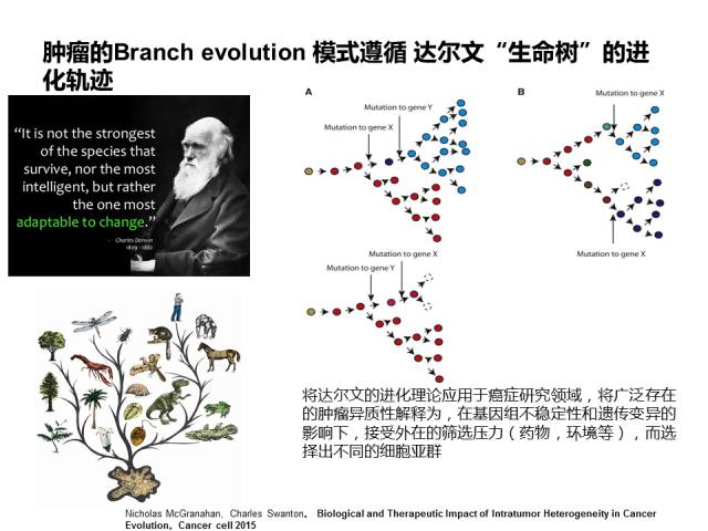 微信图片_20170829140440.jpg