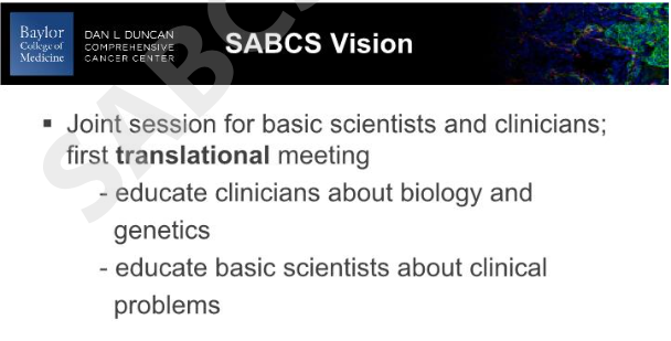 1 SABCS的愿景.png