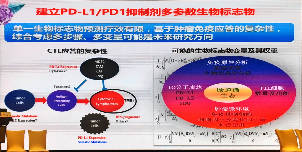 1513050408274423.jpg 图片19.jpg