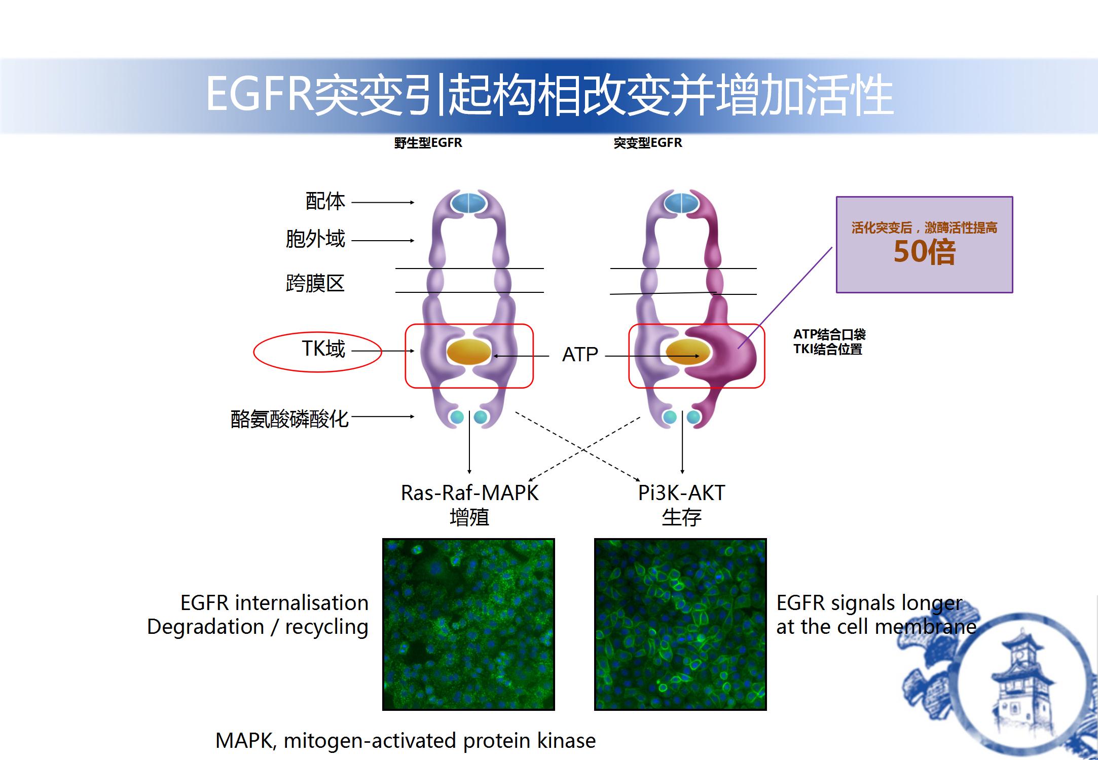 1514439282427930.jpg 图片1.jpg