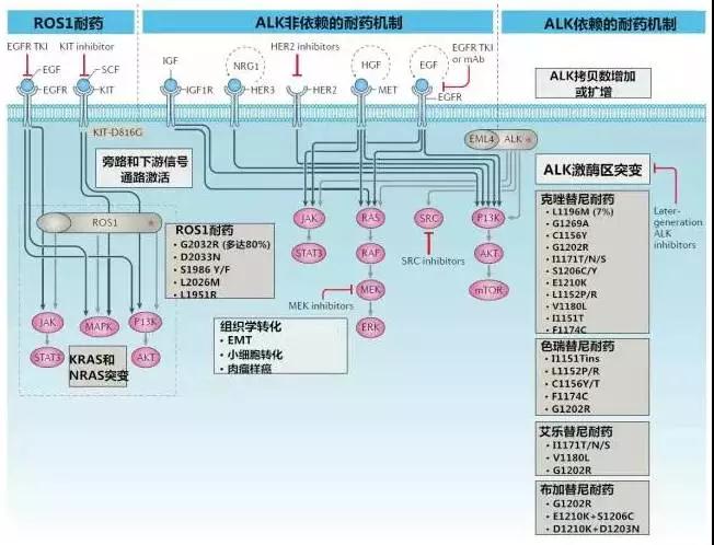 微信图片_20180108095613.jpg