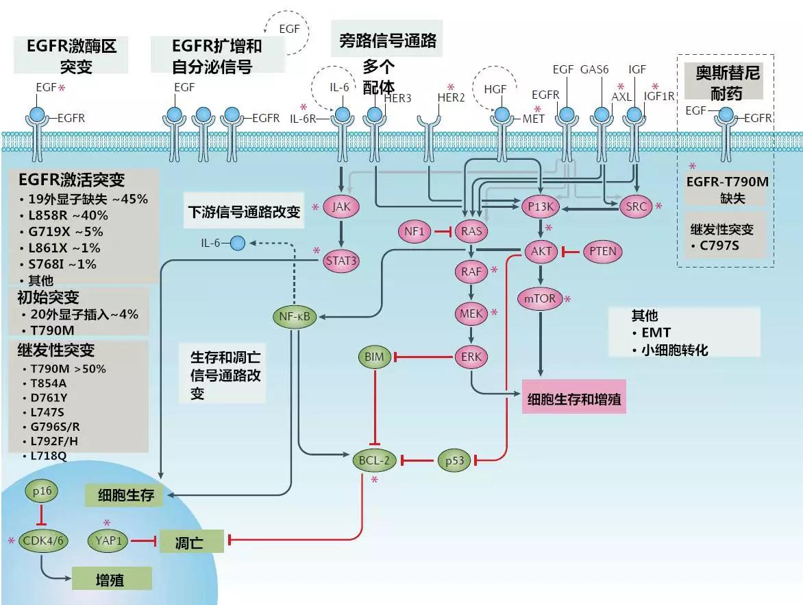 微信图片_20180108095609.jpg