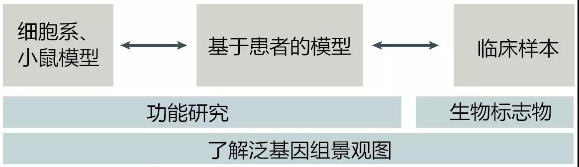 微信图片_20180108095622.jpg