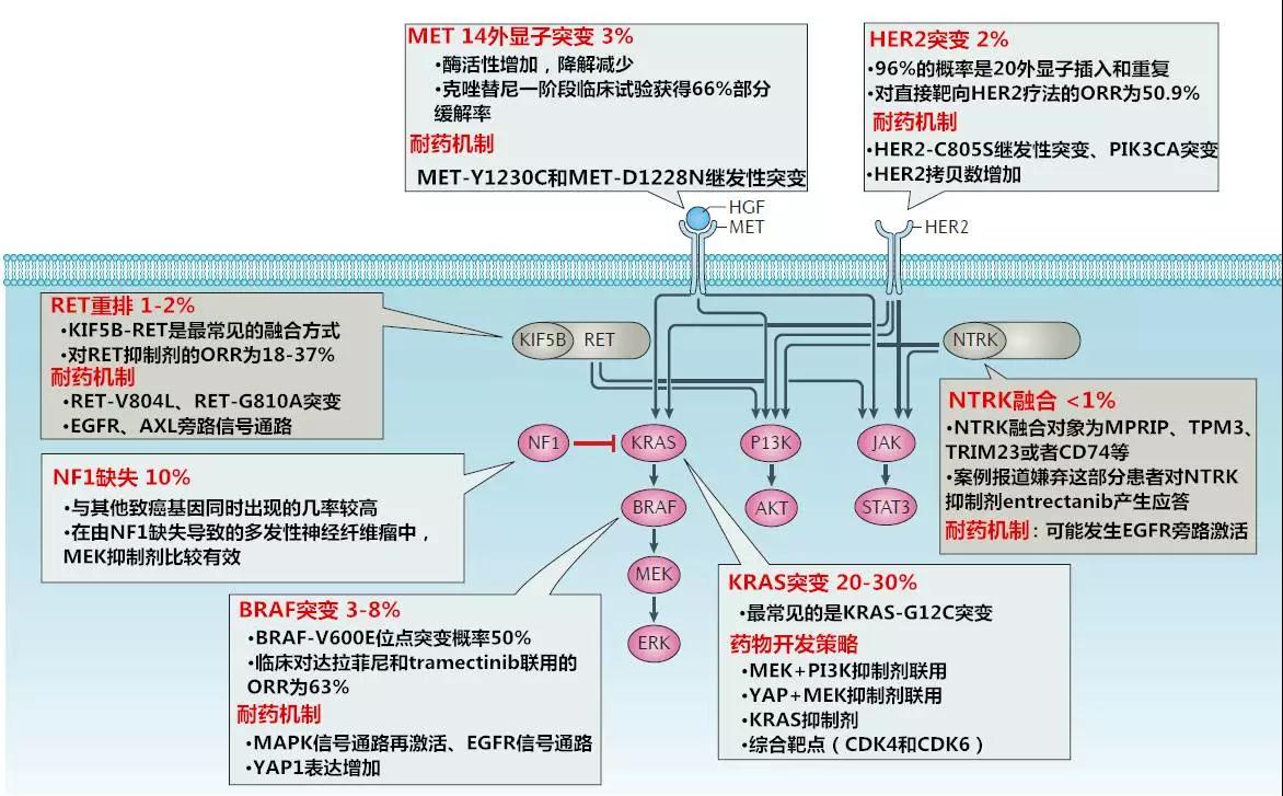 微信图片_20180108095618.jpg