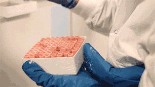 640.gif