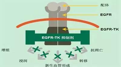 微信图片_20180126175553.jpg