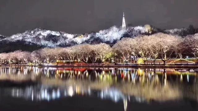 微信图片_20180201094338.jpg
