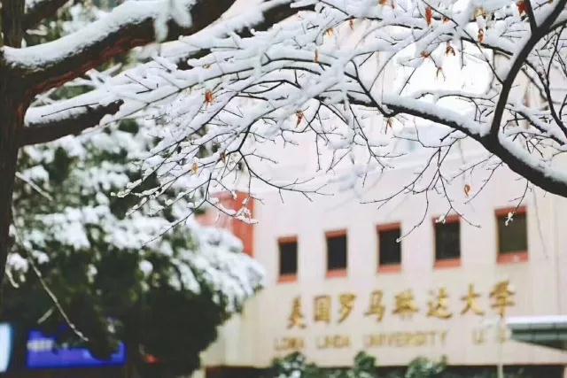 微信图片_20180201094312.jpg