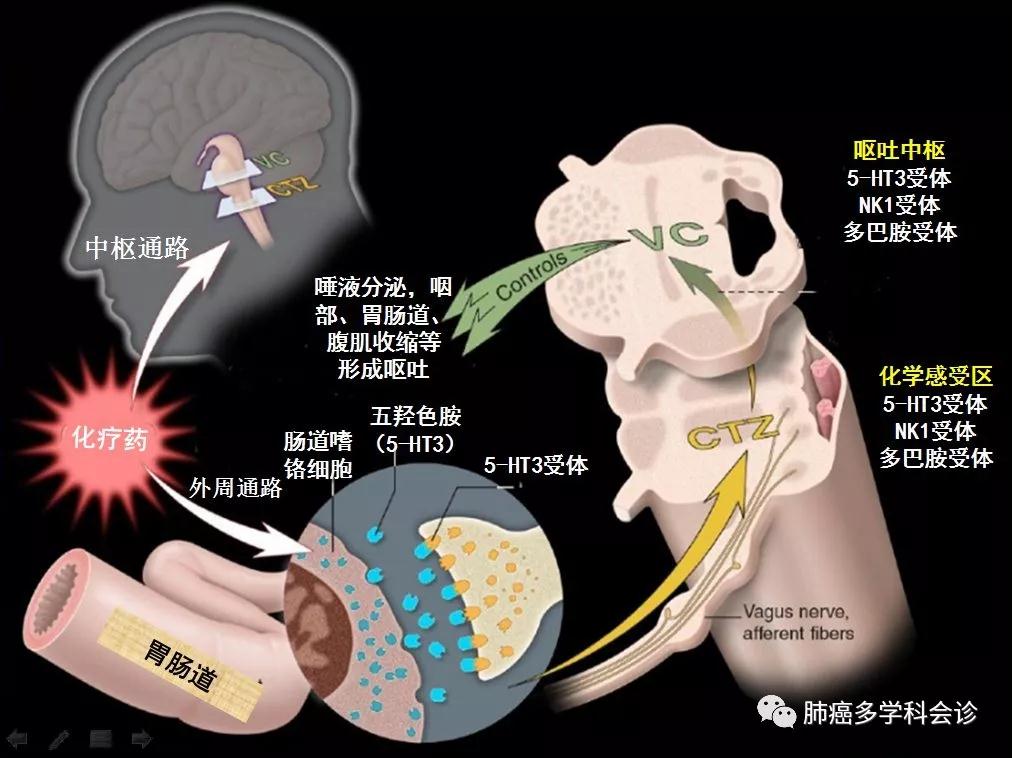微信图片_20180305094812.jpg