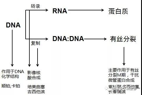 微信图片_20180305094837.jpg