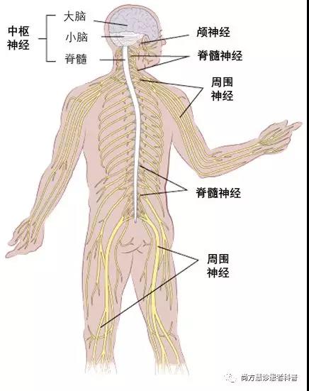 微信图片_20180307172659.jpg