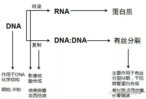1521174539450718.jpg 表四.jpg