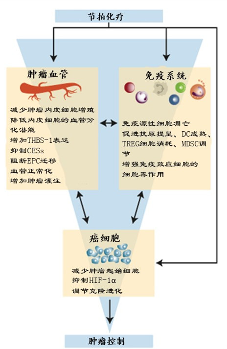 图片翻译_副本.jpg