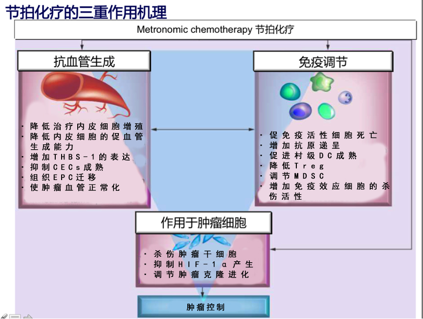 无标题.jpg