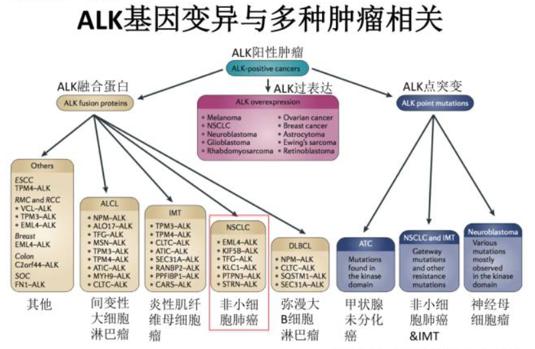 1531721165845847.jpg 图片9.jpg