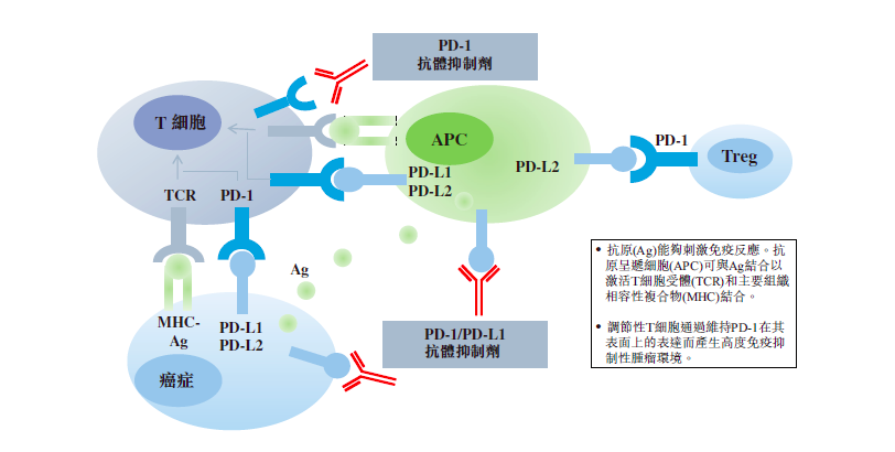 屏幕快照 2018-12-18 上午9.39.51.png