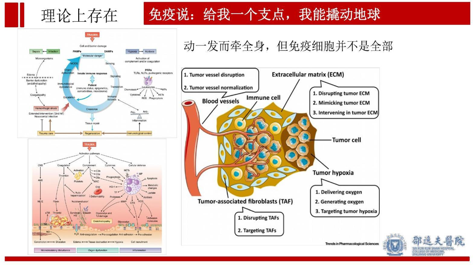 图片 9.png