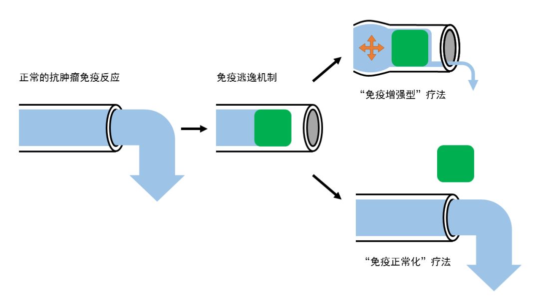 1561592162629958.jpeg 640-507.jpeg