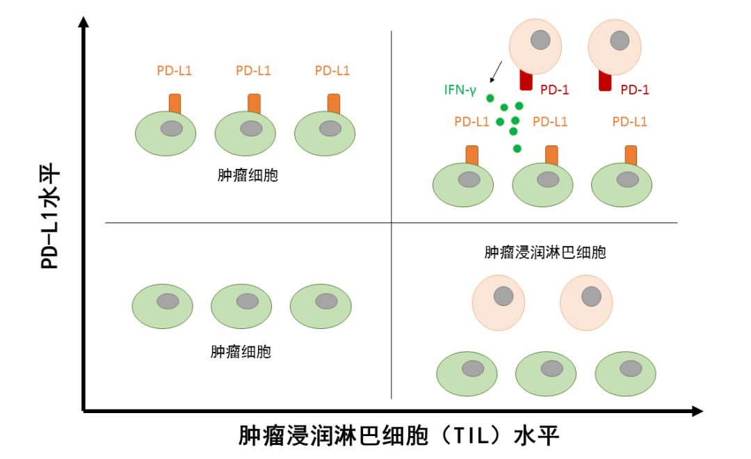 1561592301997040.jpeg 640-509.jpeg