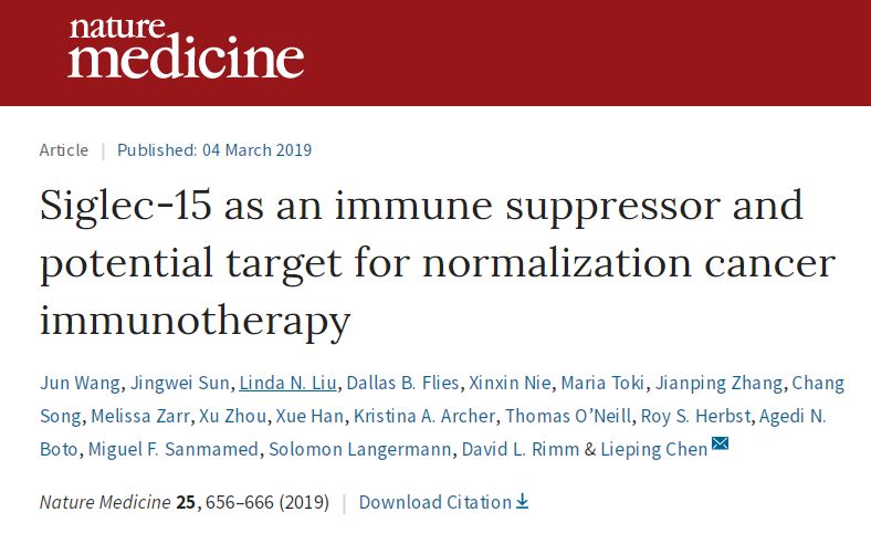 1561592374490035.jpeg 640-511.jpeg