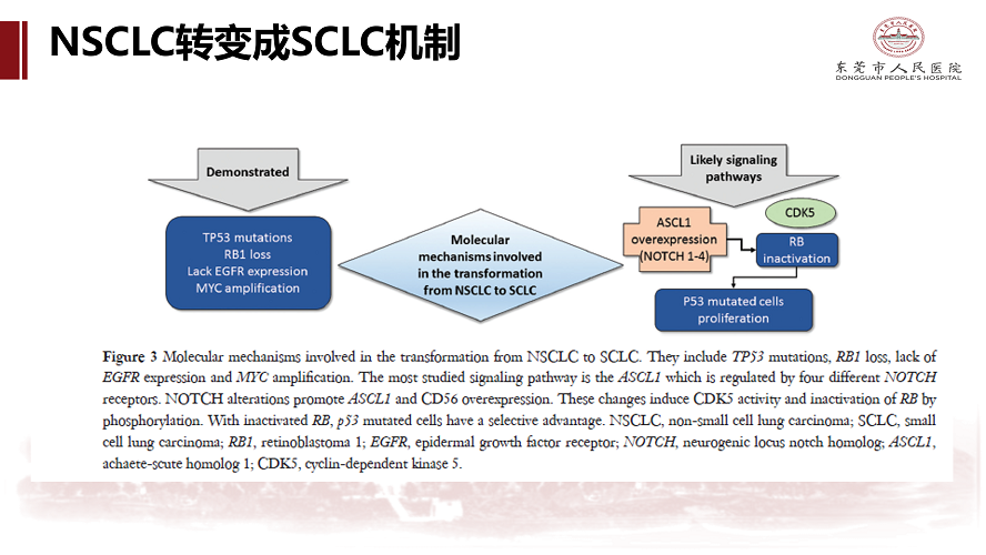 肺癌多学科诊治病例-刘克军_29.png