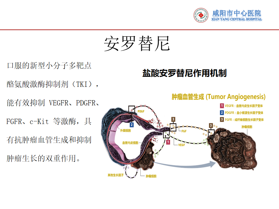 李娟芝_25.png