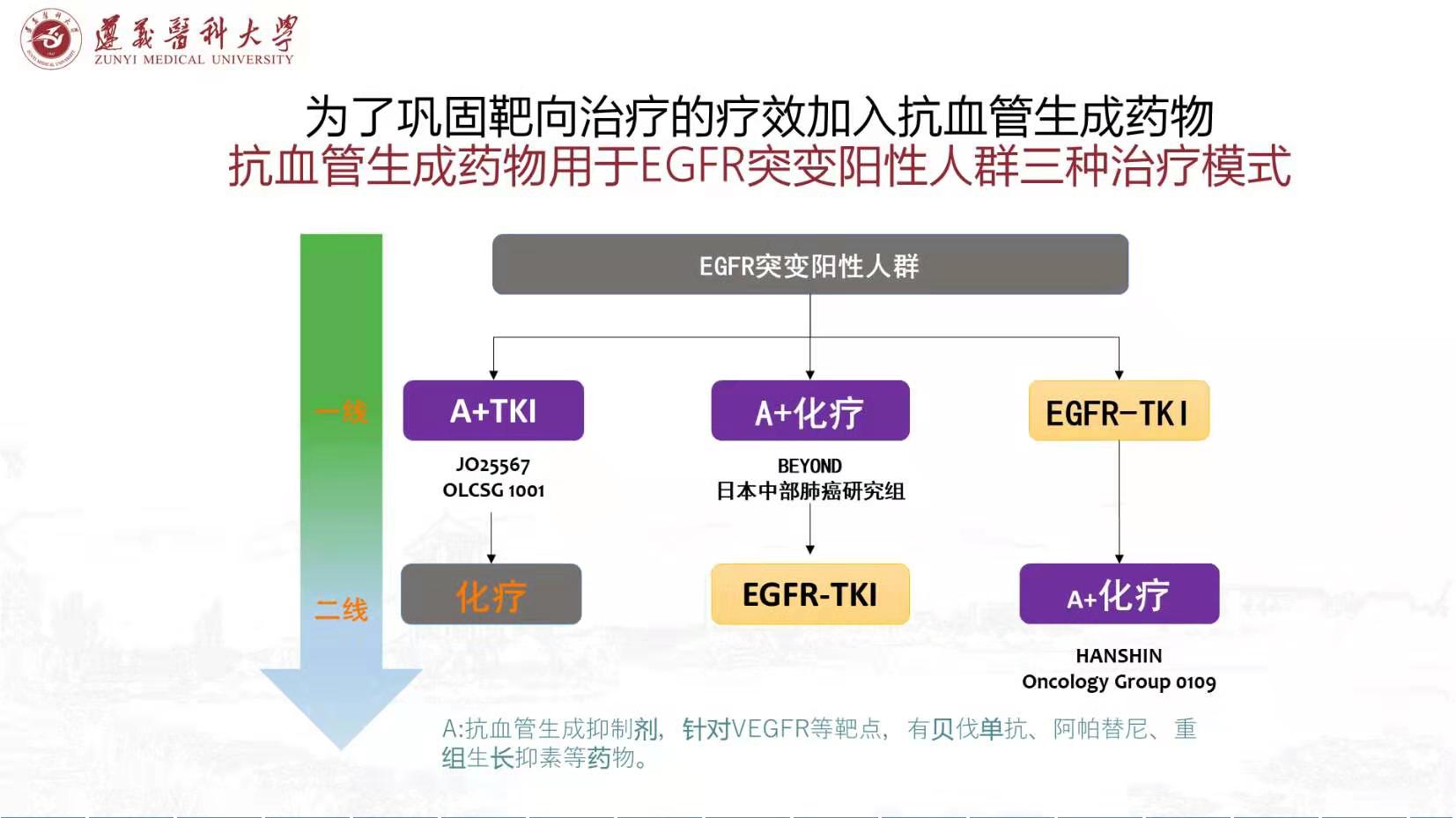 b1bc3f6afcbc484ebf148116b89b454.jpg
