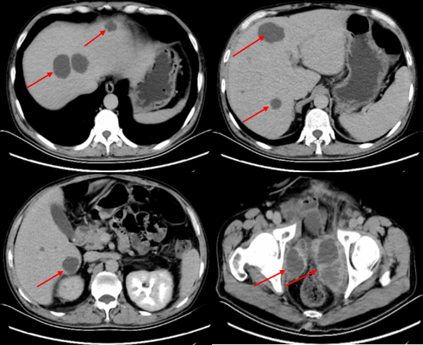 1569475107282973.png image005.png