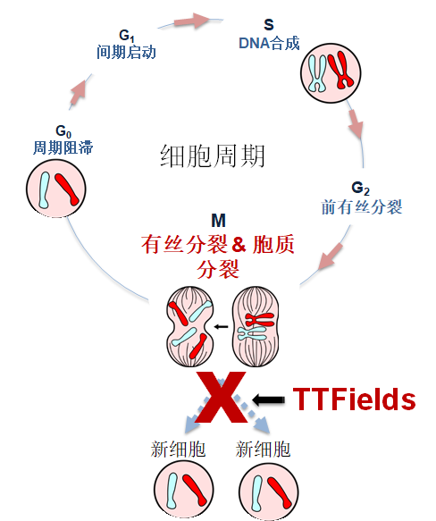 image008.png