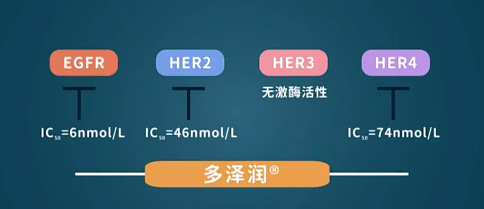 1573217796499706.png