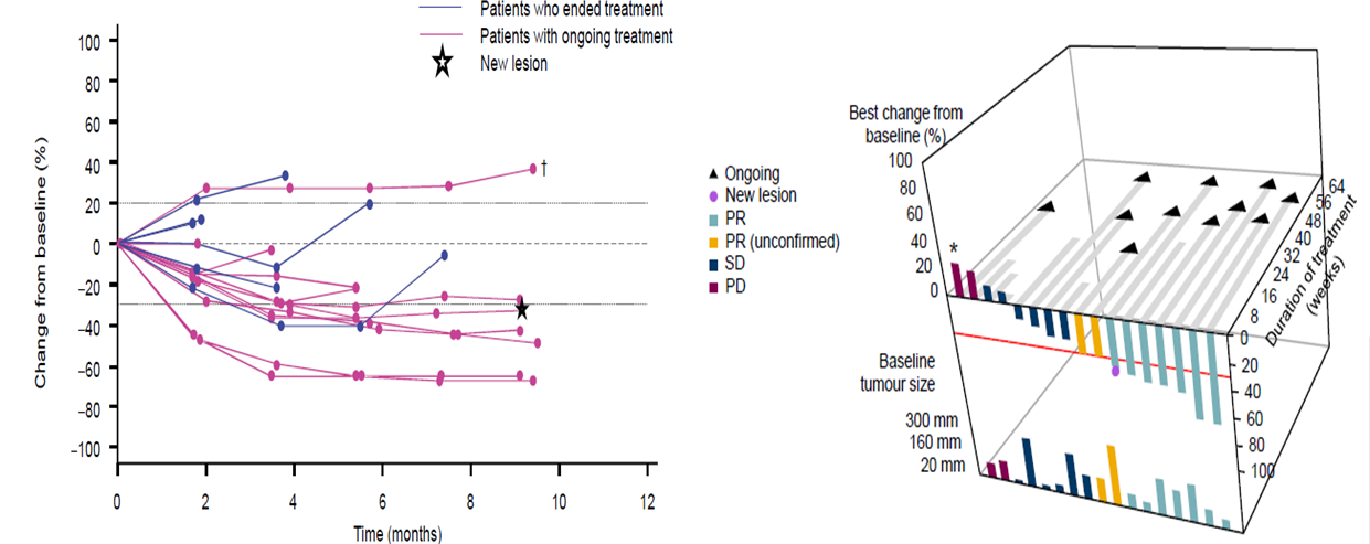 1574158001379596.png image003.png