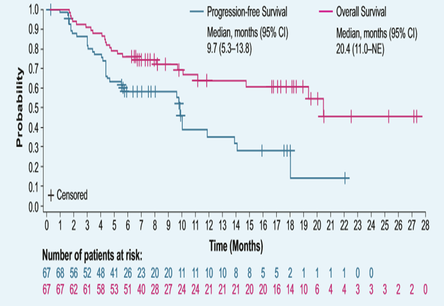 1574158847293396.png image019.png