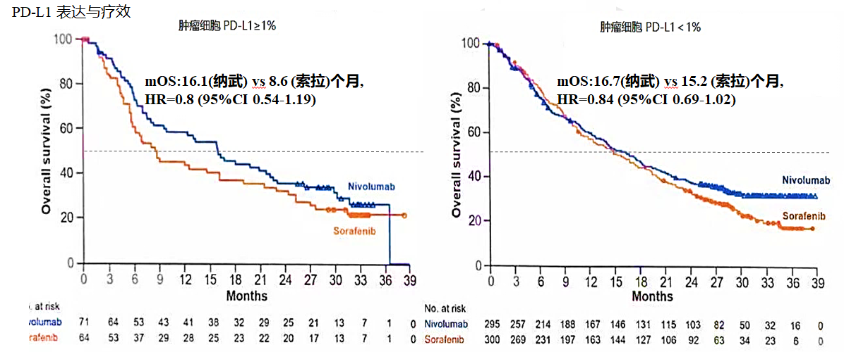 1574158722467455.png image013.png