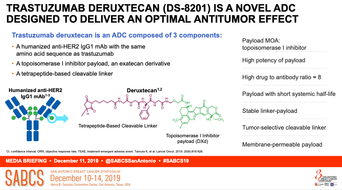 Screen Shot 2019-12-21 at 12.12.30 PM.png