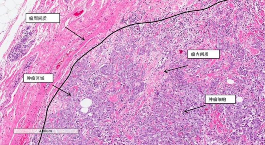 屏幕快照 2019-12-30 上午10.55.08_meitu_1.jpg