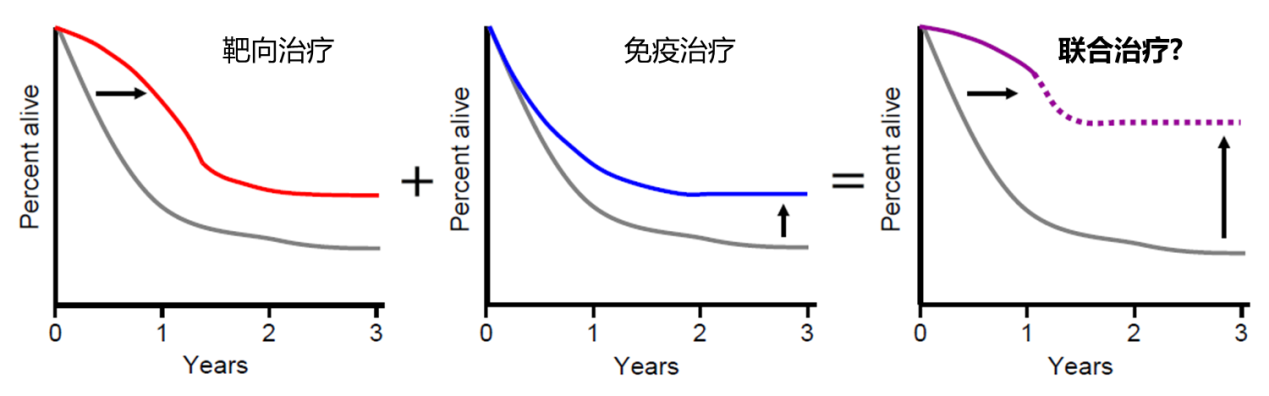 22222.png