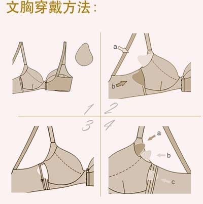 乳腺胸衣.jpg