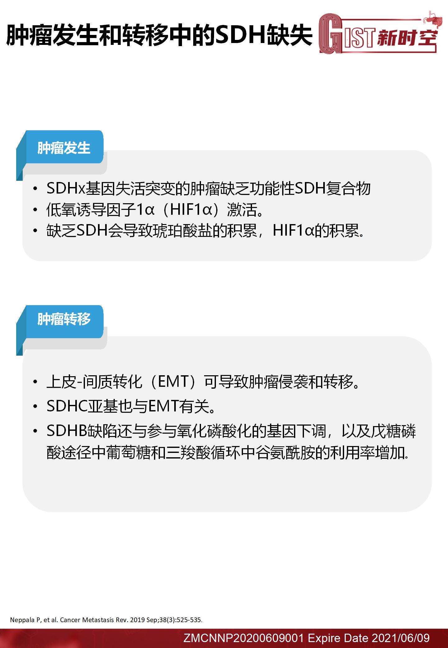 琥珀酸脱氢酶缺陷型（SDH）胃肠道间质瘤的管理现状final(2)_06.jpg