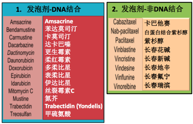 发泡剂-DNA结合外渗
